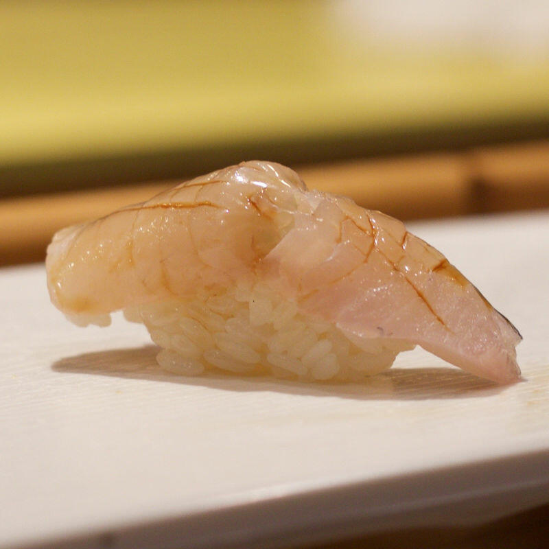 Kampachi